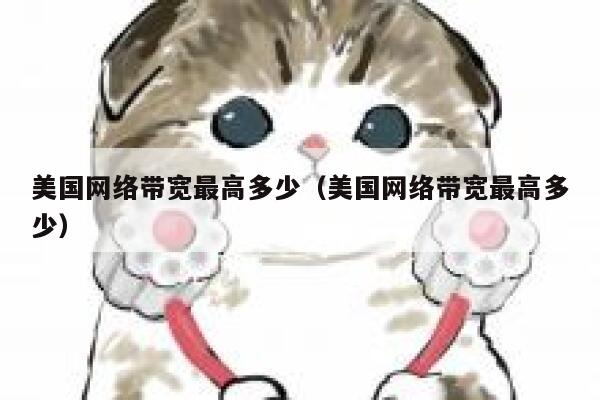 美国网络带宽最高多少（美国网络带宽最高多少） 第1张