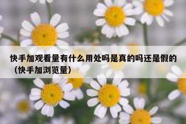 快手加观看量有什么用处吗是真的吗还是假的（快手加浏览量） 第1张