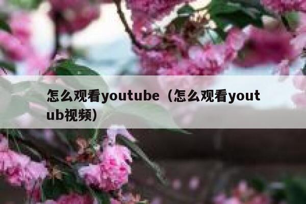 怎么观看youtube（怎么观看youtub视频） 第1张