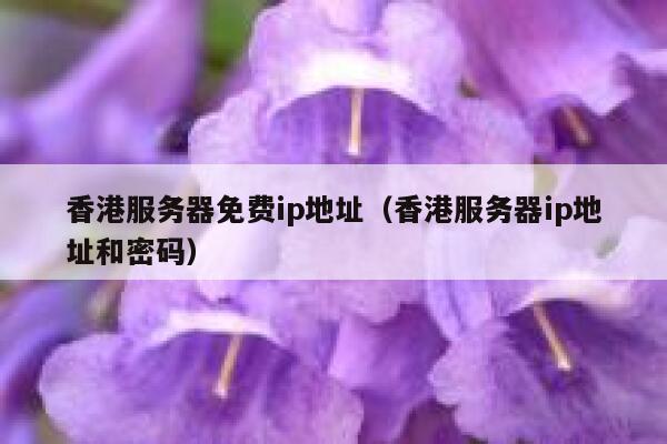 香港服务器免费ip地址(香港服务器ip地址和密码) 第1张 香港服务器免费ip地址(香港服务器ip地址和密码) 第1张