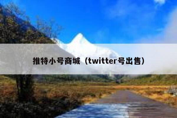 推特小号商城（twitter号出售） 第1张
