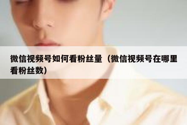 微信视频号如何看粉丝量(微信视频号在哪里看粉丝数) 第1张 微信视频号如何看粉丝量(微信视频号在哪里看粉丝数) 第1张