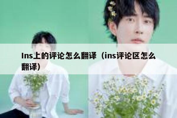 Ins上的评论怎么翻译（ins评论区怎么翻译） 第1张