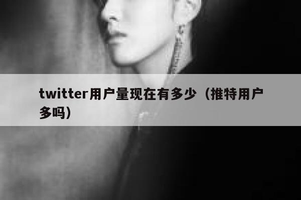 twitter用户量现在有多少(推特用户多吗) 第1张 twitter用户量现在有多少(推特用户多吗) 第1张