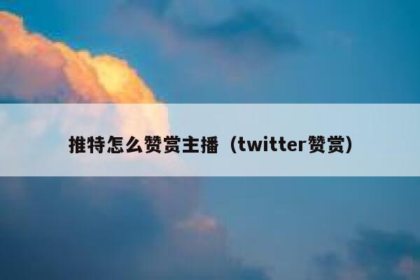 推特怎么赞赏主播（twitter赞赏） 第1张
