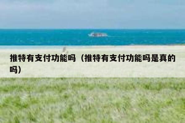 推特有支付功能吗（推特有支付功能吗是真的吗） 第1张