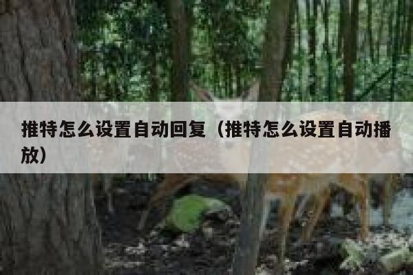 推特怎么设置自动回复（推特怎么设置自动播放） 第1张