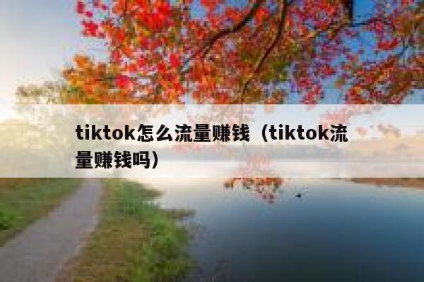tiktok怎么流量赚钱(tiktok流量赚钱吗) 第1张 tiktok怎么流量赚钱(tiktok流量赚钱吗) 第1张