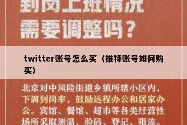 twitter账号怎么买（推特账号如何购买） 第1张