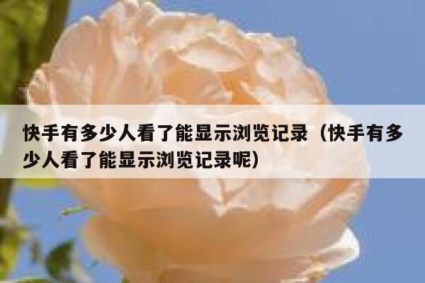 快手有多少人看了能显示浏览记录(快手有多少人看了能显示浏览记录呢) 第1张 快手有多少人看了能显示浏览记录(快手有多少人看了能显示浏览记录呢) 第1张