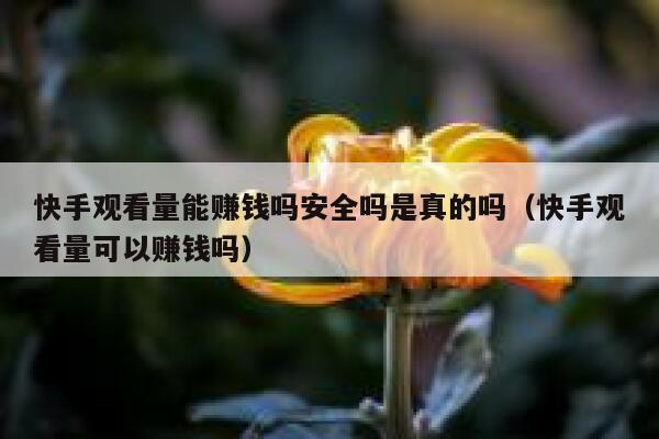 快手观看量能赚钱吗安全吗是真的吗（快手观看量可以赚钱吗） 第1张