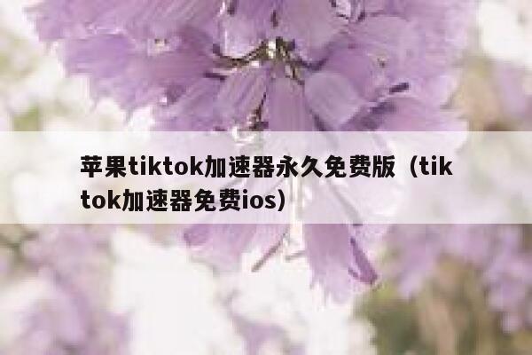 苹果tiktok加速器永久免费版（tiktok加速器免费ios） 第1张