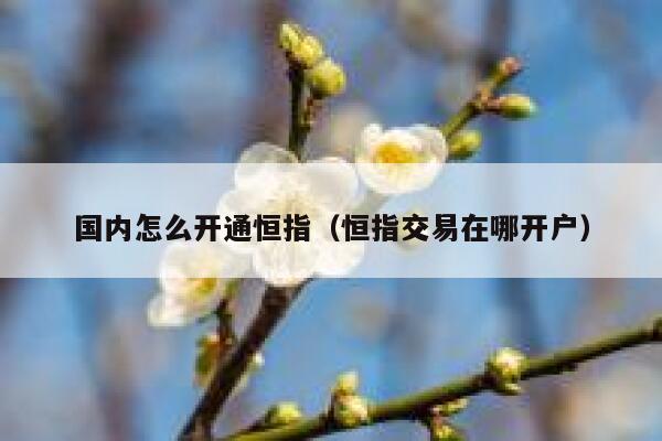 国内怎么开通恒指（恒指交易在哪开户） 第1张