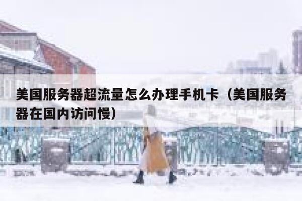 美国服务器超流量怎么办理手机卡（美国服务器在国内访问慢） 第1张