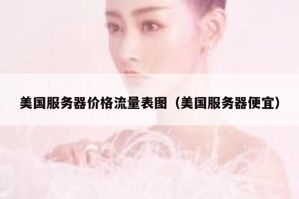 美国服务器价格流量表图（美国服务器便宜） 第1张