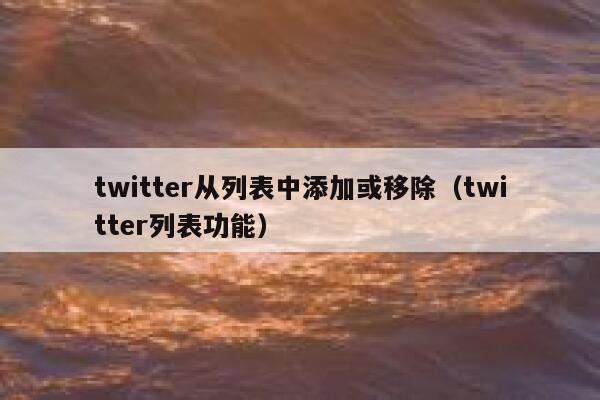 twitter从列表中添加或移除(twitter列表功能) 第1张 twitter从列表中添加或移除(twitter列表功能) 第1张