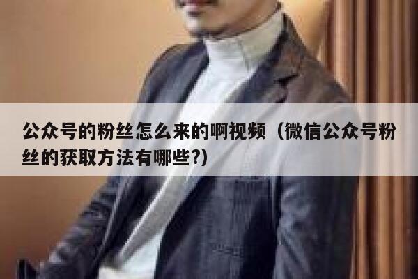 公众号的粉丝怎么来的啊视频(微信公众号粉丝的获取方法有哪些?) 第1张 公众号的粉丝怎么来的啊视频(微信公众号粉丝的获取方法有哪些?) 第1张