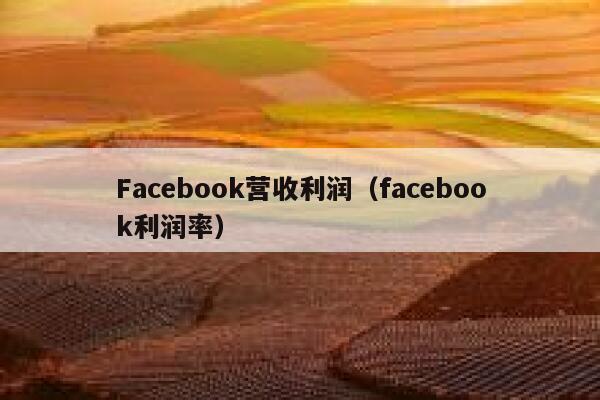 Facebook营收利润(facebook利润率) 第1张 Facebook营收利润(facebook利润率) 第1张