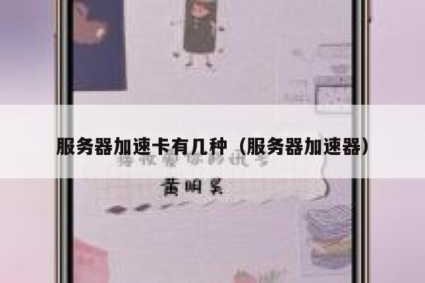 服务器加速卡有几种（服务器加速器） 第1张