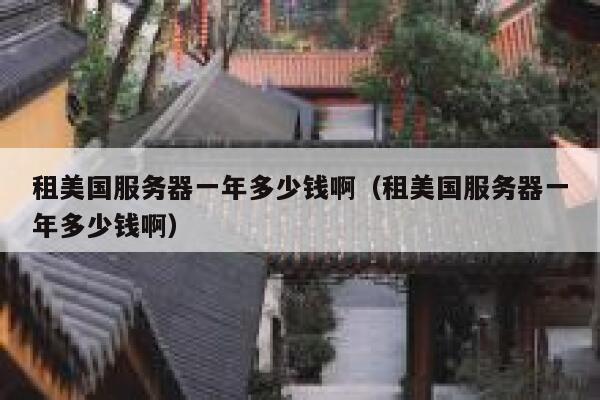 租美国服务器一年多少钱啊（租美国服务器一年多少钱啊） 第1张