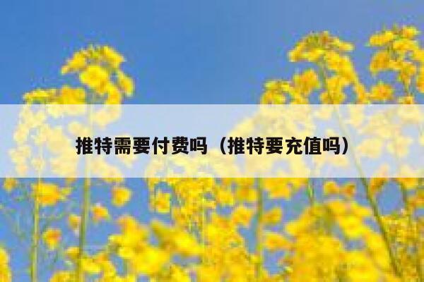 推特需要付费吗（推特要充值吗） 第1张