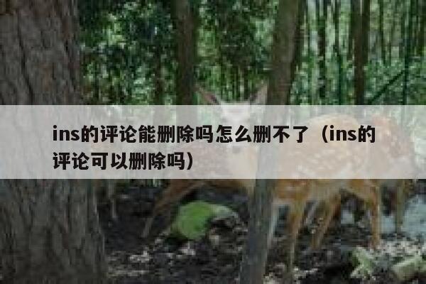 ins的评论能删除吗怎么删不了（ins的评论可以删除吗） 第1张