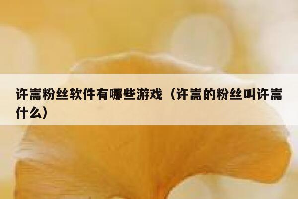 许嵩粉丝软件有哪些游戏（许嵩的粉丝叫许嵩什么） 第1张