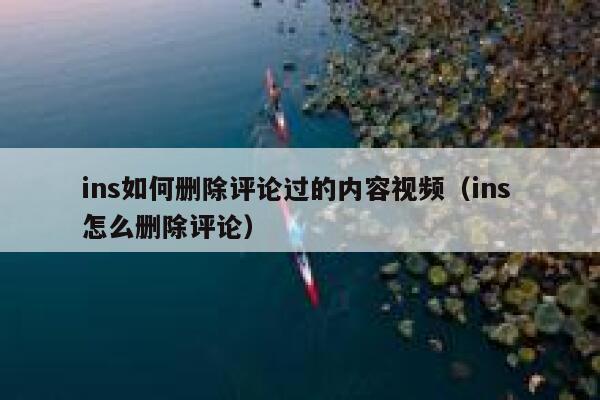 ins如何删除评论过的内容视频（ins 怎么删除评论） 第1张