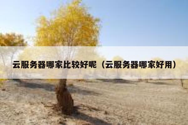 云服务器哪家比较好呢(云服务器哪家好用) 第1张 云服务器哪家比较好呢(云服务器哪家好用) 第1张