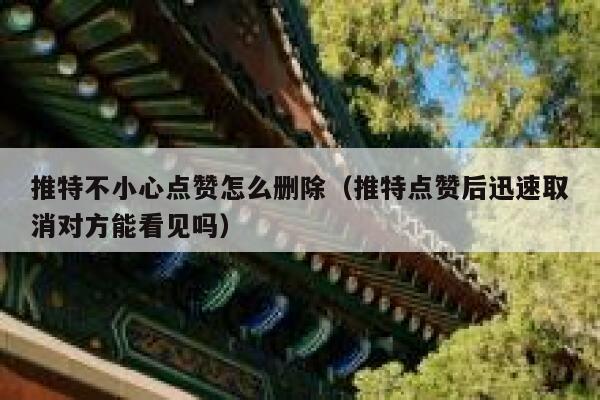 推特不小心点赞怎么删除（推特点赞后迅速取消对方能看见吗） 第1张