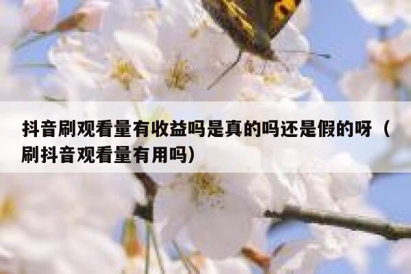 抖音刷观看量有收益吗是真的吗还是假的呀（刷抖音观看量有用吗） 第1张