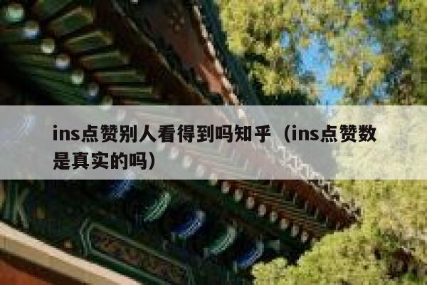 ins点赞别人看得到吗知乎（ins点赞数是真实的吗） 第1张