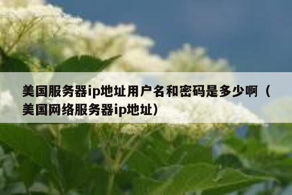 美国服务器ip地址用户名和密码是多少啊(美国网络服务器ip地址) 第1张 美国服务器ip地址用户名和密码是多少啊(美国网络服务器ip地址) 第1张