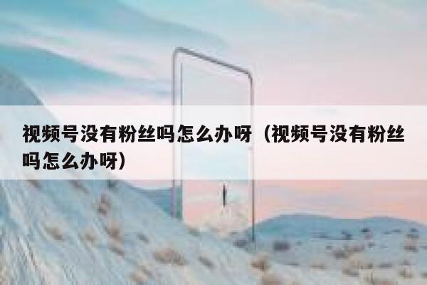 视频号没有粉丝吗怎么办呀(视频号没有粉丝吗怎么办呀) 第1张 视频号没有粉丝吗怎么办呀(视频号没有粉丝吗怎么办呀) 第1张