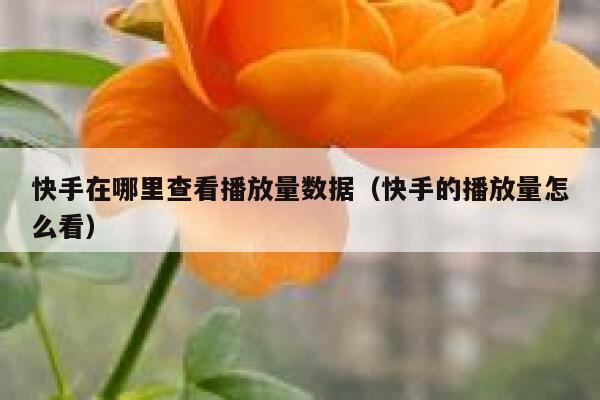 快手在哪里查看播放量数据(快手的播放量怎么看) 第1张 快手在哪里查看播放量数据(快手的播放量怎么看) 第1张