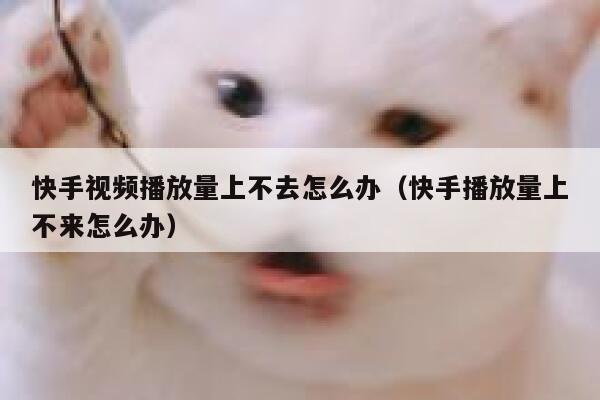 快手视频播放量上不去怎么办（快手播放量上不来怎么办） 第1张