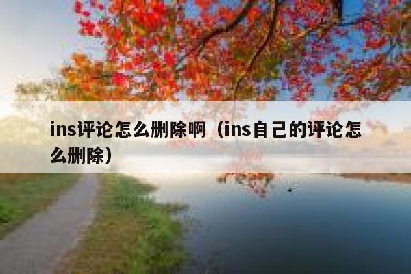 ins评论怎么删除啊（ins自己的评论怎么删除） 第1张