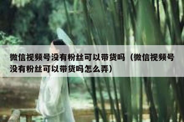 微信视频号没有粉丝可以带货吗(微信视频号没有粉丝可以带货吗怎么弄) 第1张 微信视频号没有粉丝可以带货吗(微信视频号没有粉丝可以带货吗怎么弄) 第1张