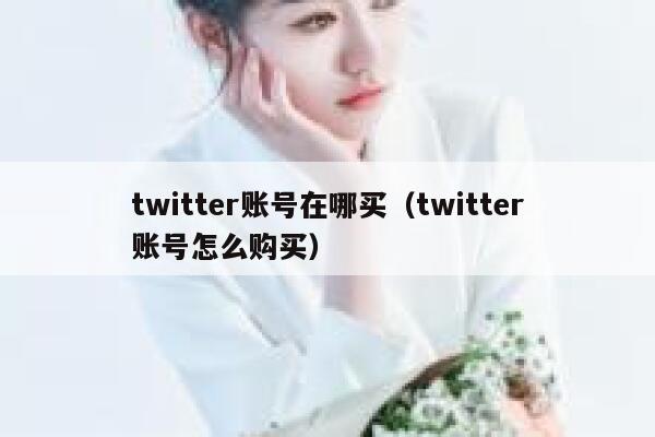twitter账号在哪买（twitter账号怎么购买） 第1张