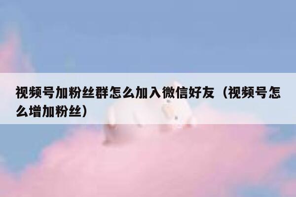 视频号加粉丝群怎么加入微信好友(视频号怎么增加粉丝) 第1张 视频号加粉丝群怎么加入微信好友(视频号怎么增加粉丝) 第1张