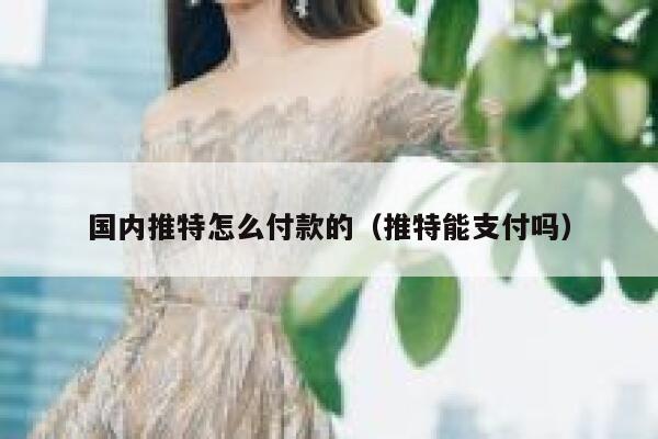 国内推特怎么付款的(推特能支付吗) 第1张 国内推特怎么付款的(推特能支付吗) 第1张