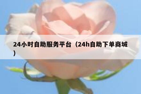 24小时自助服务平台（24h自助下单商城） 第1张