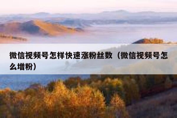 微信视频号怎样快速涨粉丝数（微信视频号怎么增粉） 第1张
