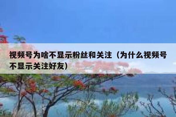 视频号为啥不显示粉丝和关注（为什么视频号不显示关注好友） 第1张