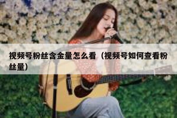 视频号粉丝含金量怎么看（视频号如何查看粉丝量） 第1张