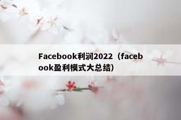 Facebook利润2022（facebook盈利模式大总结） 第1张
