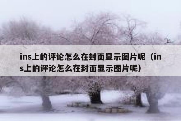 ins上的评论怎么在封面显示图片呢(ins上的评论怎么在封面显示图片呢) 第1张 ins上的评论怎么在封面显示图片呢(ins上的评论怎么在封面显示图片呢) 第1张