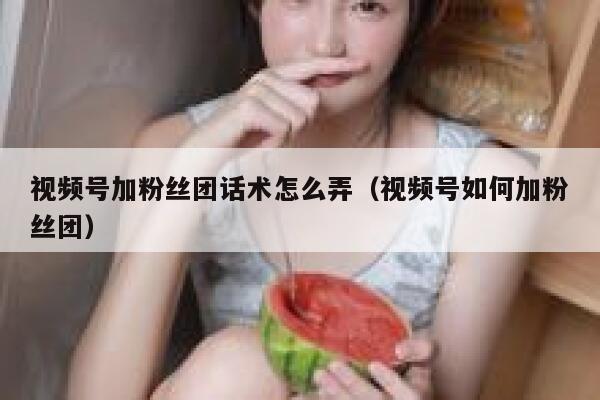 视频号加粉丝团话术怎么弄（视频号如何加粉丝团） 第1张