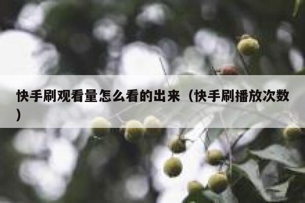 快手刷观看量怎么看的出来（快手刷播放次数） 第1张
