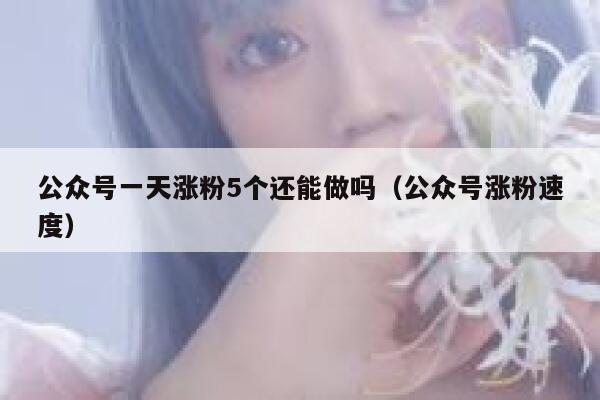 公众号一天涨粉5个还能做吗（公众号涨粉速度） 第1张